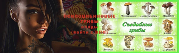 apvp Балабаново