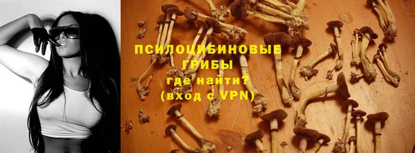 apvp Балабаново