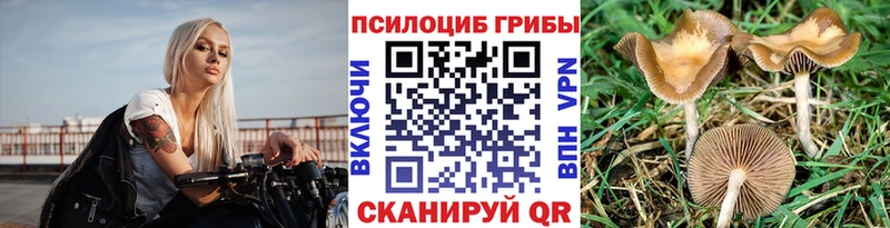 Псилоцибиновые грибы прущие грибы Лабытнанги