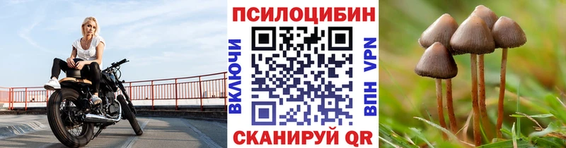 OMG как зайти купить сайты Лабытнанги Псилоцибиновые грибы прущие грибы
